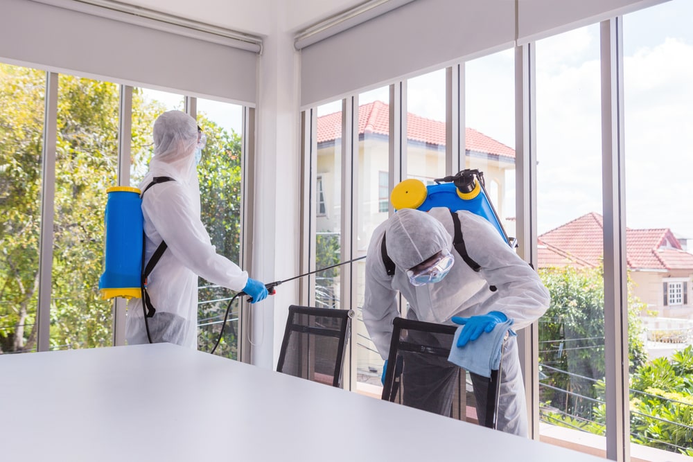 Nettoyage vitres pour bureaux : Les techniques garanties sans traces